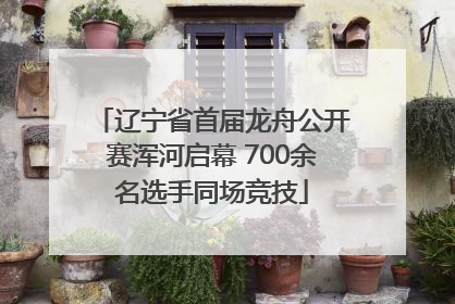辽宁省首届龙舟公开赛浑河启幕 700余名选手同场竞技
