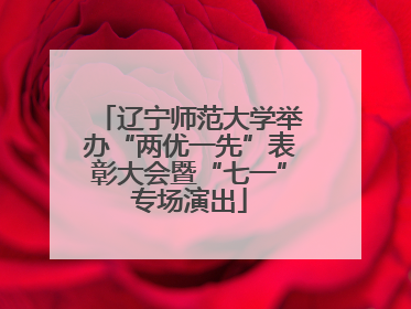 辽宁师范大学举办“两优一先”表彰大会暨“七一”专场演出