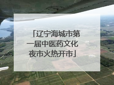 辽宁海城市第一届中医药文化夜市火热开市