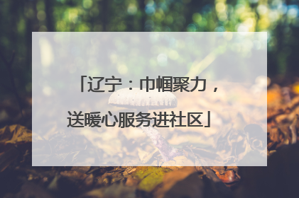 辽宁：巾帼聚力，送暖心服务进社区