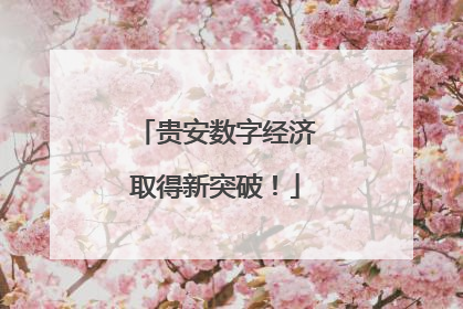 贵安数字经济取得新突破！