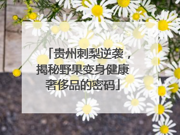 贵州刺梨逆袭，揭秘野果变身健康奢侈品的密码