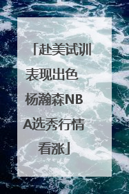 赴美试训表现出色 杨瀚森NBA选秀行情看涨