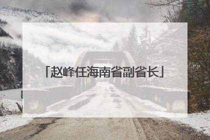 赵峰任海南省副省长
