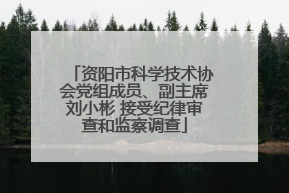 资阳市科学技术协会党组成员、副主席刘小彬 接受纪律审查和监察调查
