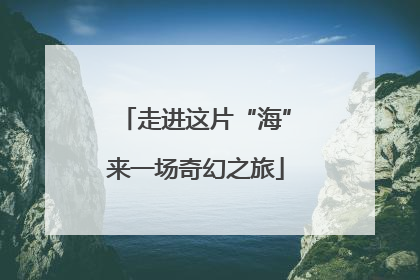 走进这片“海”来一场奇幻之旅