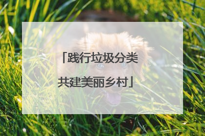 践行垃圾分类 共建美丽乡村