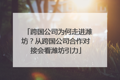 跨国公司为何走进潍坊？从跨国公司合作对接会看潍坊引力