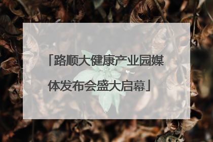 路顺大健康产业园媒体发布会盛大启幕
