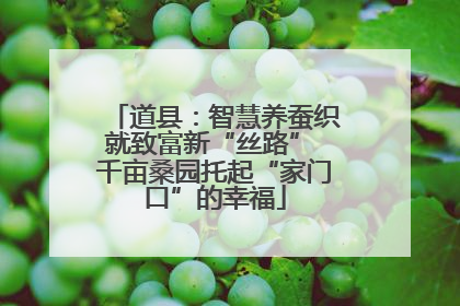道县：智慧养蚕织就致富新“丝路” 千亩桑园托起“家门口”的幸福