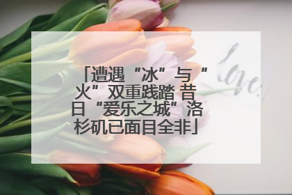 遭遇“冰”与“火”双重践踏 昔日“爱乐之城”洛杉矶已面目全非