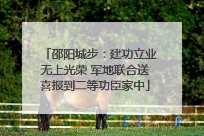 邵阳城步：建功立业无上光荣 军地联合送喜报到二等功臣家中