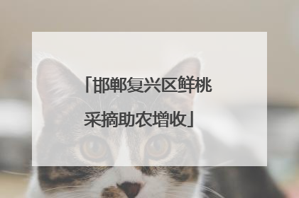 邯郸复兴区鲜桃采摘助农增收