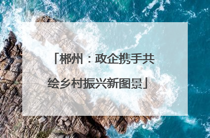 郴州：政企携手共绘乡村振兴新图景