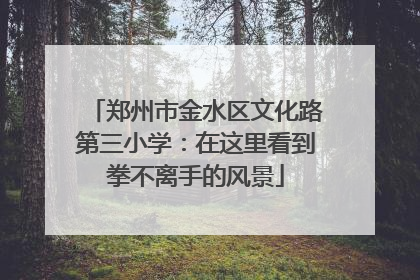 郑州市金水区文化路第三小学：在这里看到拳不离手的风景