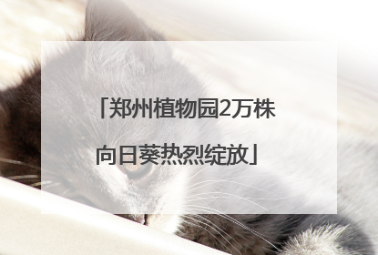 郑州植物园2万株向日葵热烈绽放