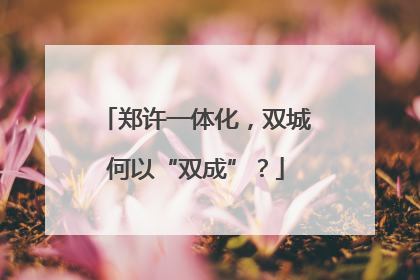 郑许一体化，双城何以“双成”？