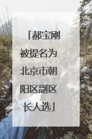 郝宝刚被提名为北京市朝阳区副区长人选