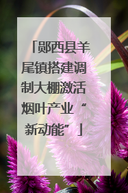 郧西县羊尾镇搭建调制大棚激活烟叶产业“新动能”