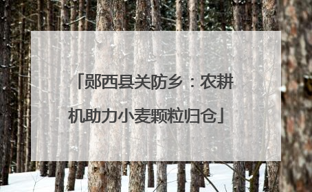 郧西县关防乡：农耕机助力小麦颗粒归仓