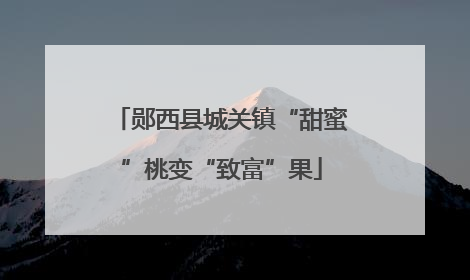 郧西县城关镇“甜蜜”桃变“致富”果