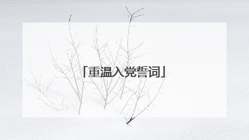 重温入党誓词