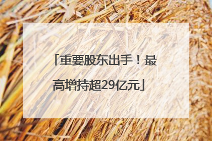 重要股东出手！最高增持超29亿元
