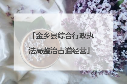 金乡县综合行政执法局整治占道经营