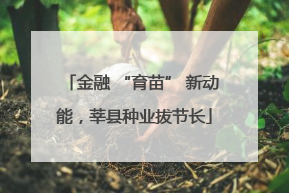 金融 “育苗” 新动能，莘县种业拔节长
