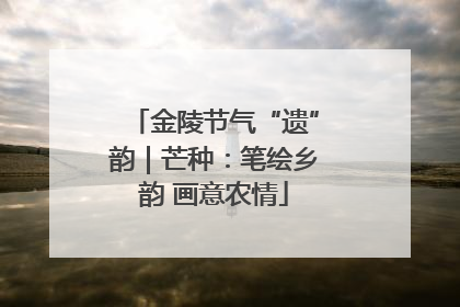 金陵节气“遗”韵｜芒种：笔绘乡韵 画意农情