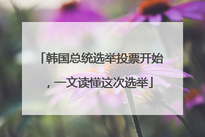 韩国总统选举投票开始，一文读懂这次选举