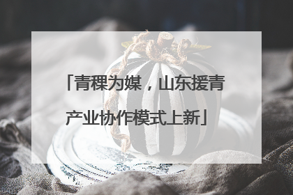 青稞为媒，山东援青产业协作模式上新