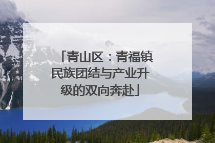 青山区：青福镇民族团结与产业升级的双向奔赴