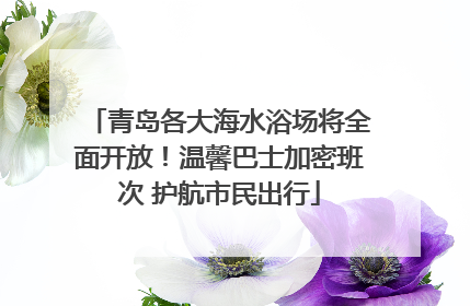 青岛各大海水浴场将全面开放！温馨巴士加密班次 护航市民出行