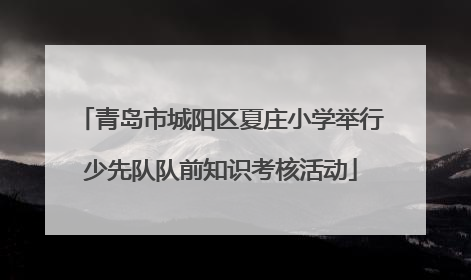 青岛市城阳区夏庄小学举行少先队队前知识考核活动