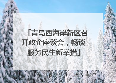 青岛西海岸新区召开政企座谈会，畅谈服务民生新举措