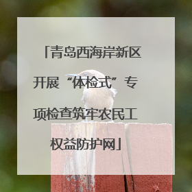 青岛西海岸新区开展“体检式”专项检查筑牢农民工权益防护网