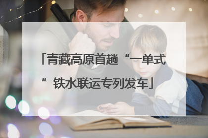青藏高原首趟“一单式”铁水联运专列发车