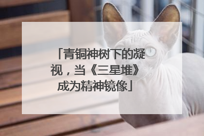 青铜神树下的凝视，当《三星堆》成为精神镜像