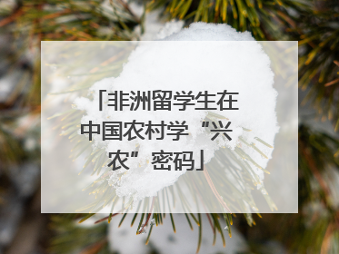 非洲留学生在中国农村学“兴农”密码