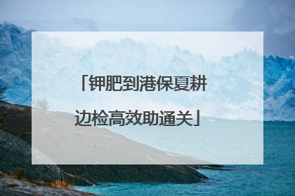钾肥到港保夏耕 边检高效助通关