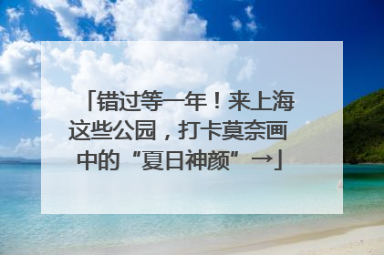 错过等一年！来上海这些公园，打卡莫奈画中的“夏日神颜”→