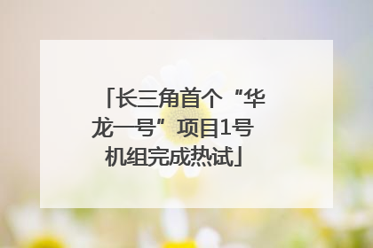 长三角首个“华龙一号”项目1号机组完成热试