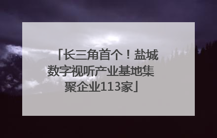 长三角首个！盐城数字视听产业基地集聚企业113家