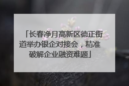 长春净月高新区德正街道举办银企对接会，精准破解企业融资难题