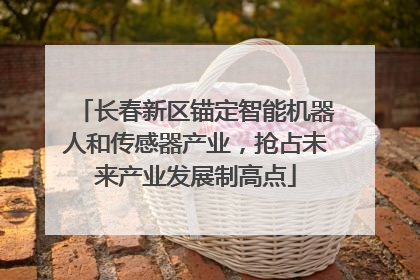 长春新区锚定智能机器人和传感器产业，抢占未来产业发展制高点