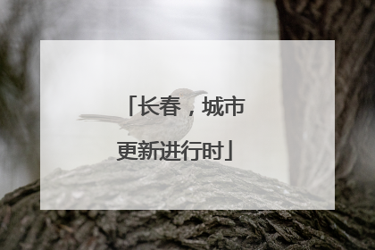 长春，城市更新进行时