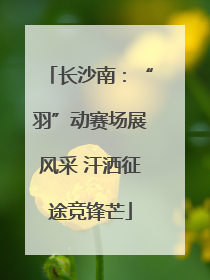 长沙南：“羽”动赛场展风采 汗洒征途竞锋芒
