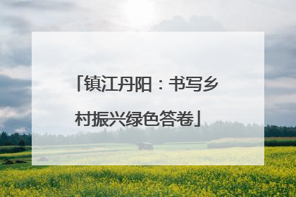 镇江丹阳：书写乡村振兴绿色答卷