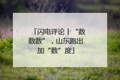 闪电评论丨“数数数”，山东跑出加“数”度